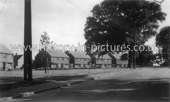 Blamsters Crescent, Halstead, Essex. c.1950's